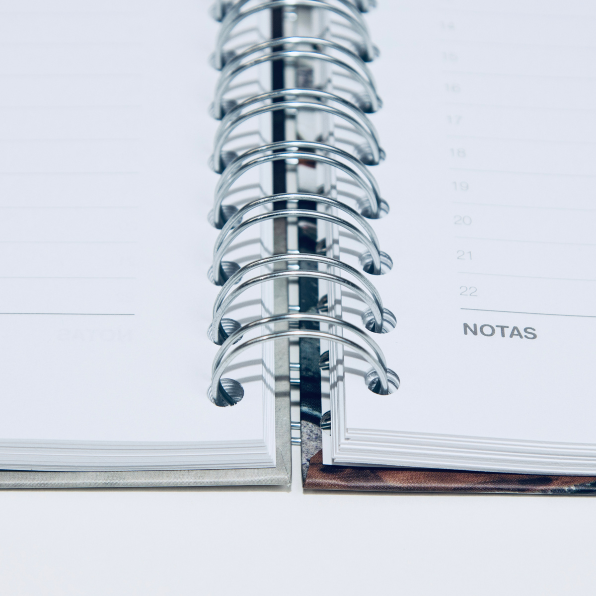 agenda-7-(1)